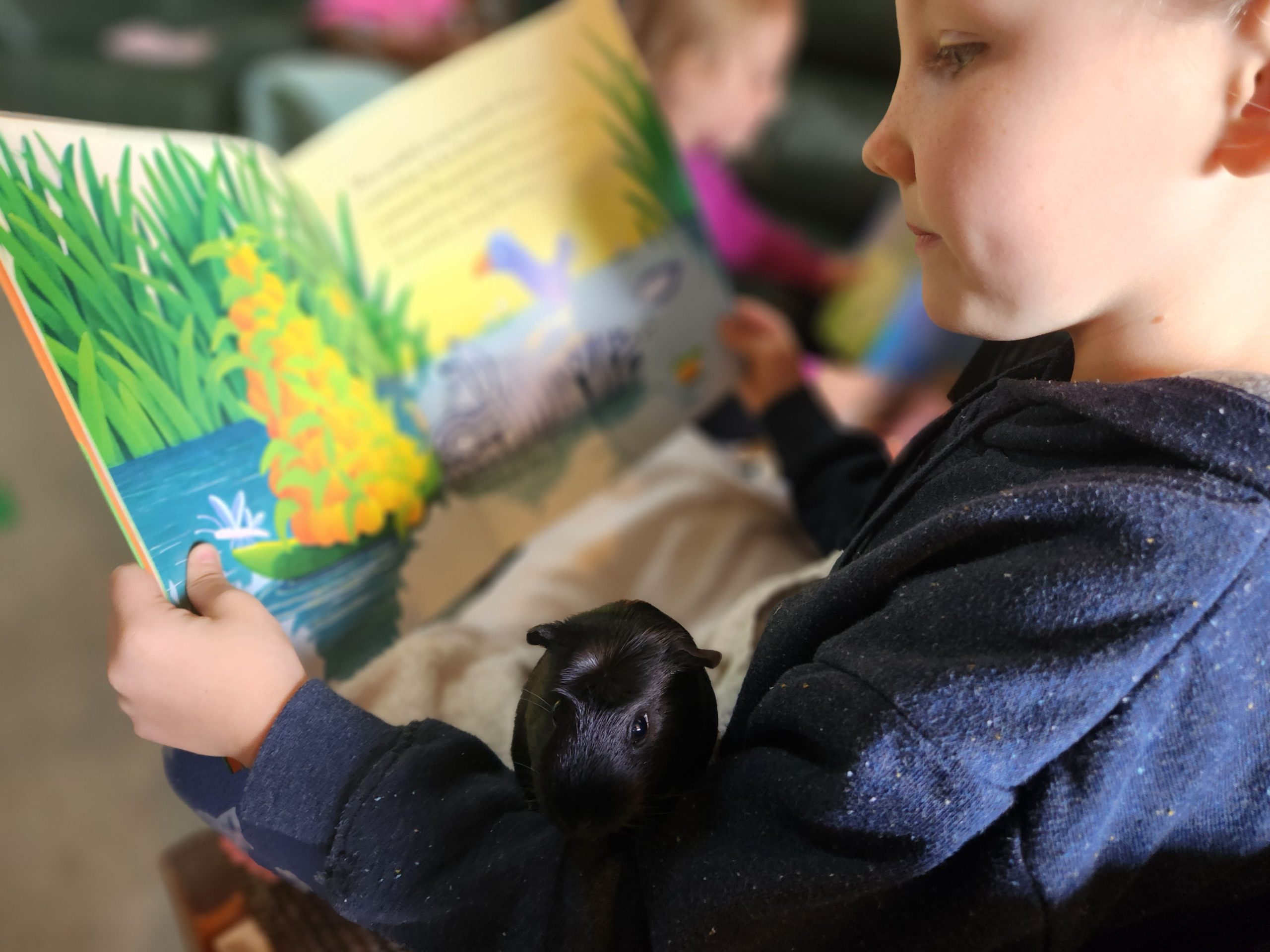 Madison reading as part of family learning